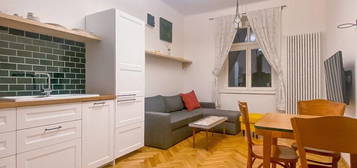 Pronájem byty 2+kk, 60 m2 - Praha - Žižkov