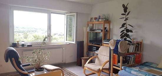 Appartment 33 m² in Höhenlage Odekoven Ideal für Studenten oder Zweitwohnung