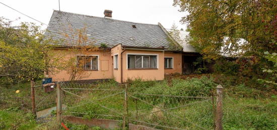 Rodinný dům, 140 m² + 2900 m² pozemek, Lichnov