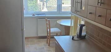 Prodej bytu 2+1 57 m² (Jednopodlažní)