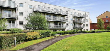 1 bed flat to rent