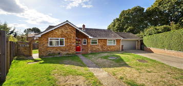 Detached bungalow to rent in Monksgate, Thetford IP24