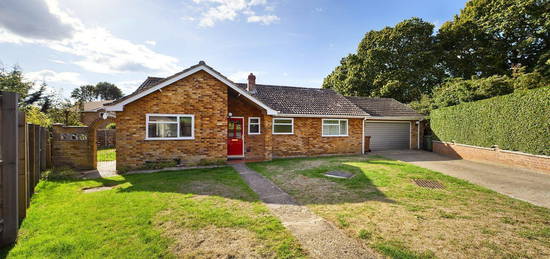 Detached bungalow to rent in Monksgate, Thetford IP24