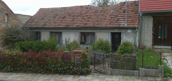 Rodinný dům, 45 m² + 876 m² pozemek, Tučapy, Vyškov