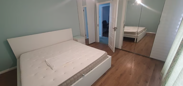 1 bedroom house share