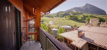 620 Gothic Rd Unit 507, Crested Butte, CO 81225