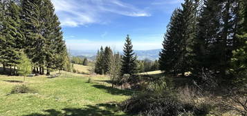 Exklusives Almhaus in Maria Lankowitz mit einer EINZIGARTIGEN Aussicht und RUHIGER LAGE! TOP-GELEGENHEIT! DAS CHALET FÜR NATURVERBUNDENE!