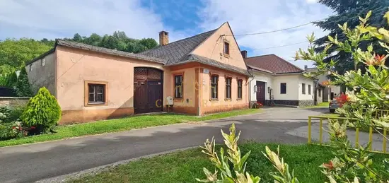 Rodinný Dom v srdci Medzeva / Chalupa s veľkou záhradou (2443 m²) s ovocným sadom / Grunt / Medzev