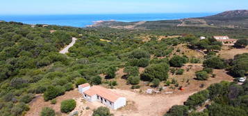 Proprietà rustica in vendita in strada Provinciale 90