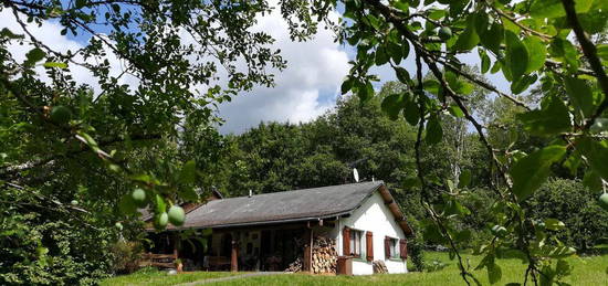 Maison -Charme et originalité- esprit chalet