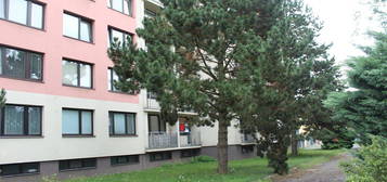 Pronájem bytu 1+1 43 m²