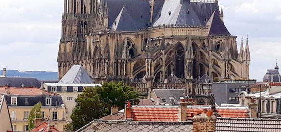 Reims centre paix : t2 meuble de 50 m2 vue cathedrale - vendu loue