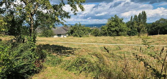 Ferienwohnung, Kurzzeitmiete Koblenz Arenberg Waldrand