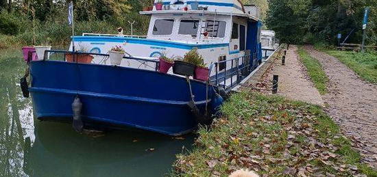 Bateau moteur avec flybridge