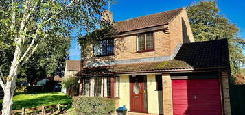 Detached house to rent in Chestnut Drive, Willand, Cullompton EX15