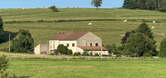 Dpt Vosges (88), à vendre ESCLES propriété T13 de 390 m² environ terrain 12 hectares. Eau de source