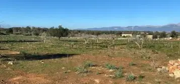 Finca r&#xFA;stica en Sineu