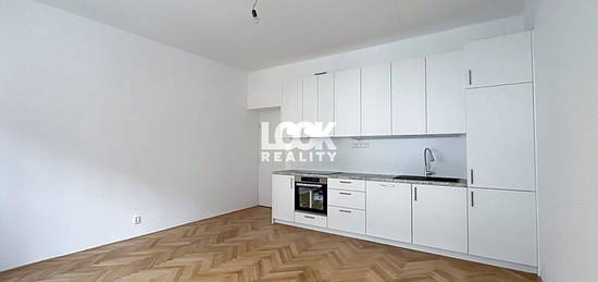 Pronájem bytu 1+1 42 m²