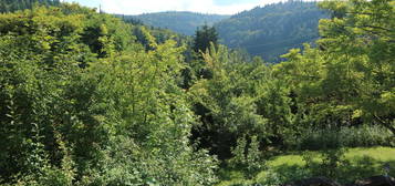 Maisonette mit traumhaftem Ausblick auf Schwarzwald