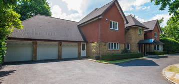 6 bed detached house to rent