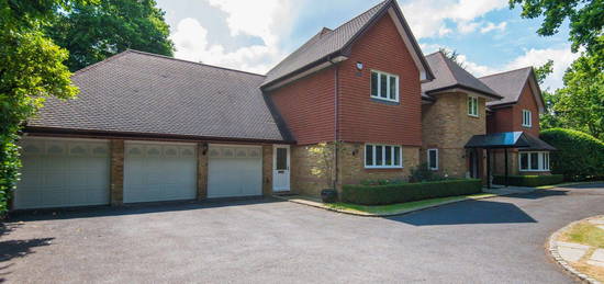 6 bed detached house to rent