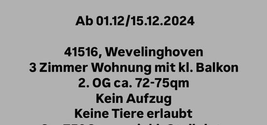 NACHMIETER GESUCHT - 3Zimmer Wohnung in 41516, Wevelinghoven