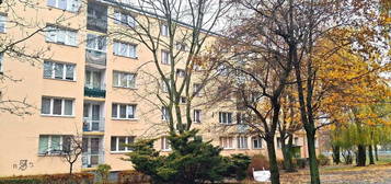 Mieszkanie 2-pokojowe 36,7m2 Dąbrowa-Zarzew