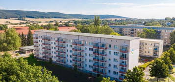 3-Raum-Wohnung mit Dusche und Balkon