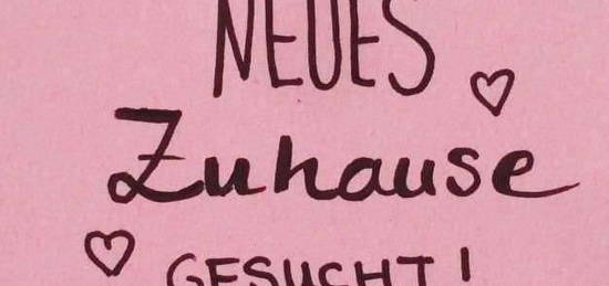 Ärztin mit 2 Kindern sucht eine 3-4 Zimmer Wohnung in Waltenhofen, Kempten oder Immenstadt.