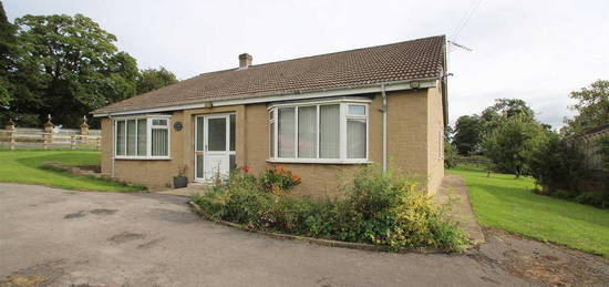 3 bedroom bungalow to rent