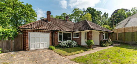 3 bedroom detached bungalow