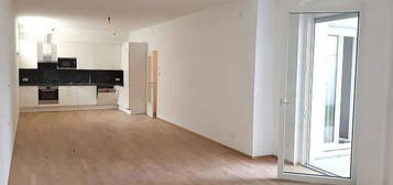 TOP-AUSGESTATTET / neubau / DAN-KÜCHE+BOSCH-GERÄTE / 99 m² 3Z Untergeschoss-Wohnung mit Terrasse