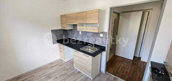 Pronájem bytu 1+1 30 m², Lesní, Most