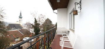 Wohnen über den Dächern von Grieskirchen - Haus mit großem Grundstück, Garten und traumhaften Ausblick