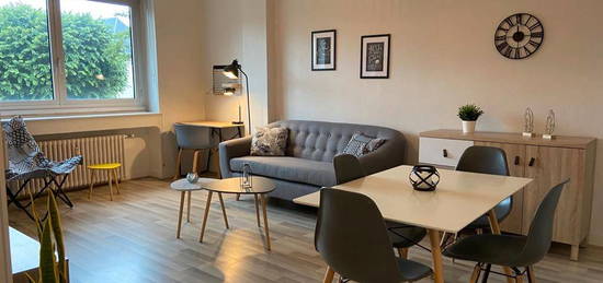 Meublé T2 + cuisine 54 m2 Chambéry