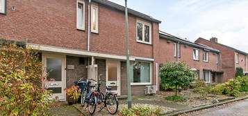 Molenstraat 12