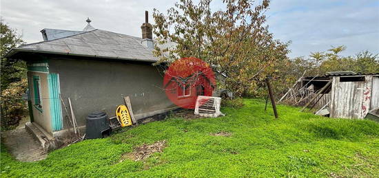 Casa spatioasa de vânzare în Mineri, lânga Lidas, teren 1426 mp, 5 cam