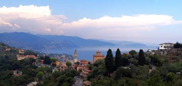 Villa unifamiliare via Giuntini, Santa Margherita Ligure