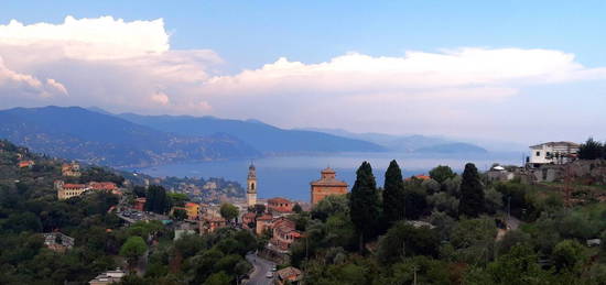 Villa unifamiliare via Giuntini, Santa Margherita Ligure