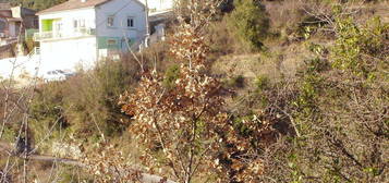 Ensemble de deux maisons individuelles À flanc de colline l'orée des Cévennes et de l'Ardèche