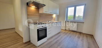 Pronájem bytu 2+1 56 m², Středová,