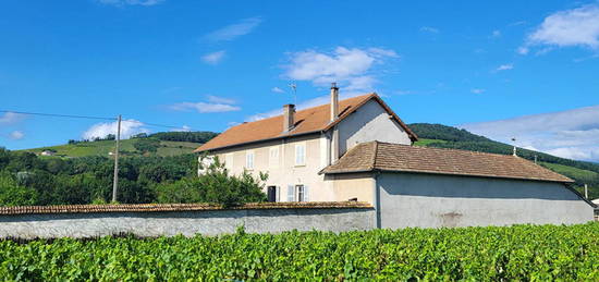 Maison de Maître 5 Chambres + Dépendances et Terrain - 69840 JULIENAS