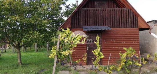 LEN U NÁS Predám - Viničný dom s vinohradom - Mužla