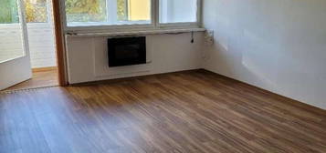 Privat: Charmante ruhige Wohnung mit Loggia Süden 47,90 m² teilsaniert (Kaufen oder Mieten möglich)