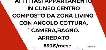 Bilocale in affitto a Centro Storico