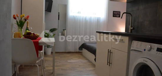 Pronájem bytu 1+kk 19 m², Novákových, Hlavní město Praha