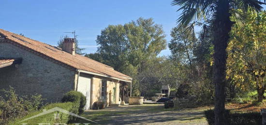 Charmante maison en pierre de 120 m² avec piscine et grand terrain, proche de Villeneuve-sur-Lot