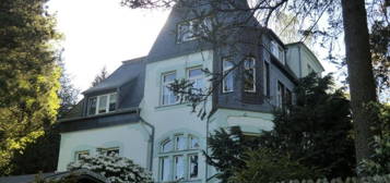 Gemütliche 1-Raum-Wohnung im 1. Obergeschoss - wunderschöne Villa in Scheibenberg!