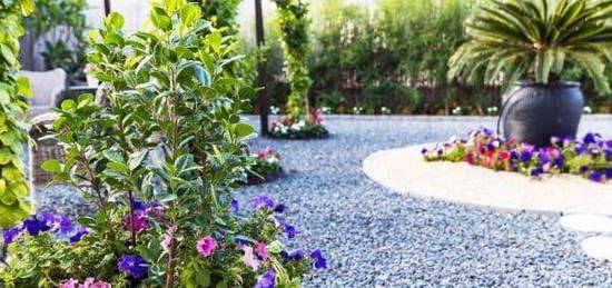 A LOUER maison avec jardin