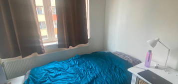 Bright Room for Rent for students